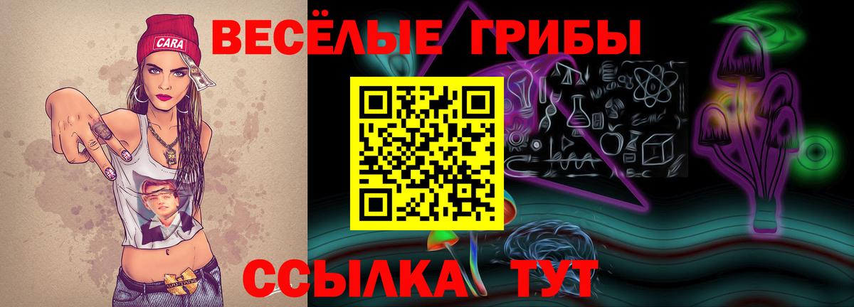 Псилоцибиновые грибы Magic Shrooms Десногорск